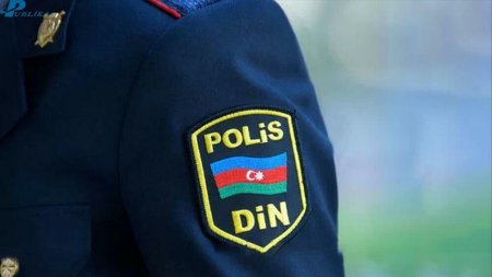 Mərkəzi parkda iki heykələ ziyan vuran şəxslər polis tərəfindən müəyyən olunub