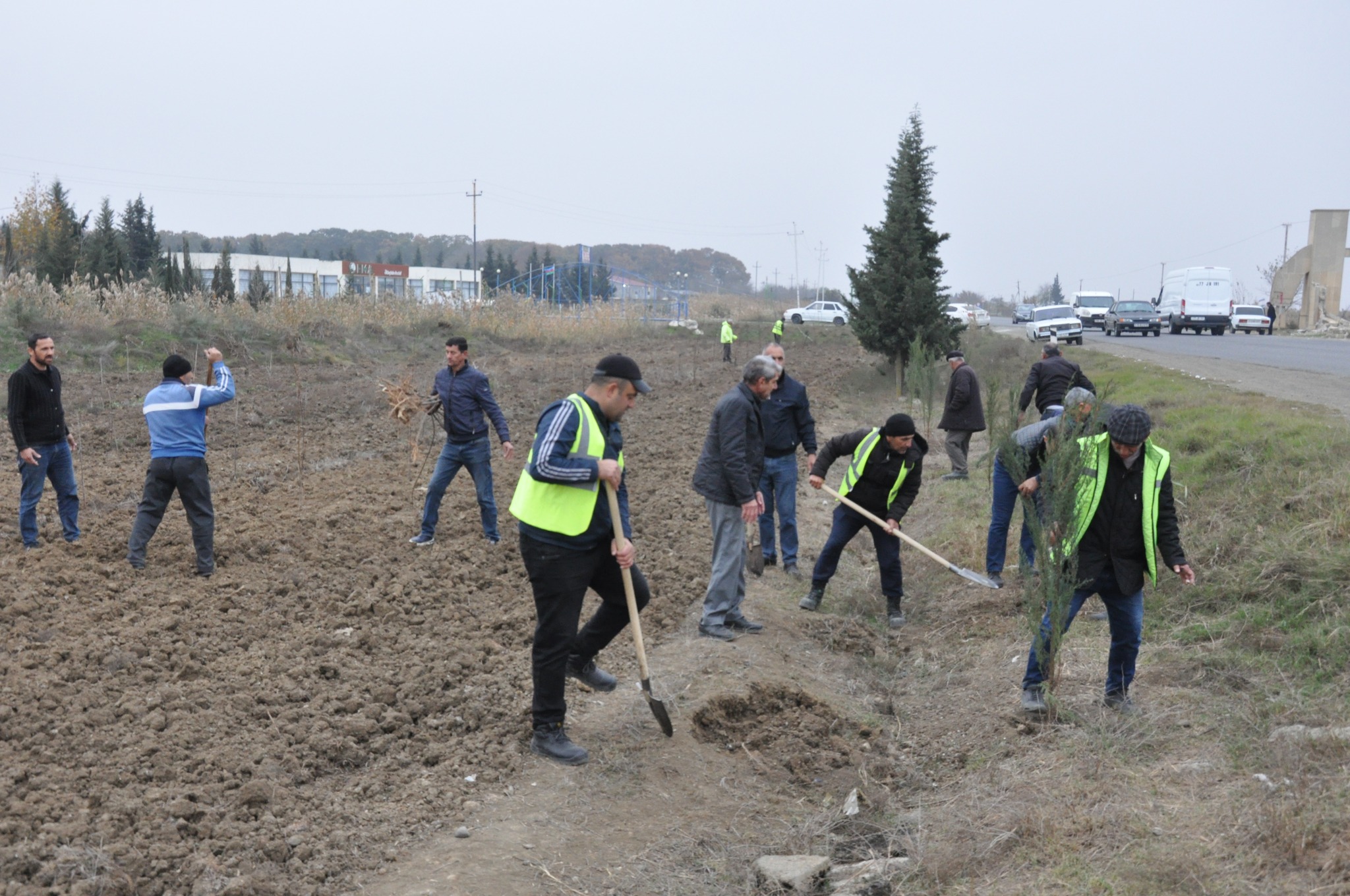 Biləsuvarda növbəti ağacəkmə aksiyası keçirildi