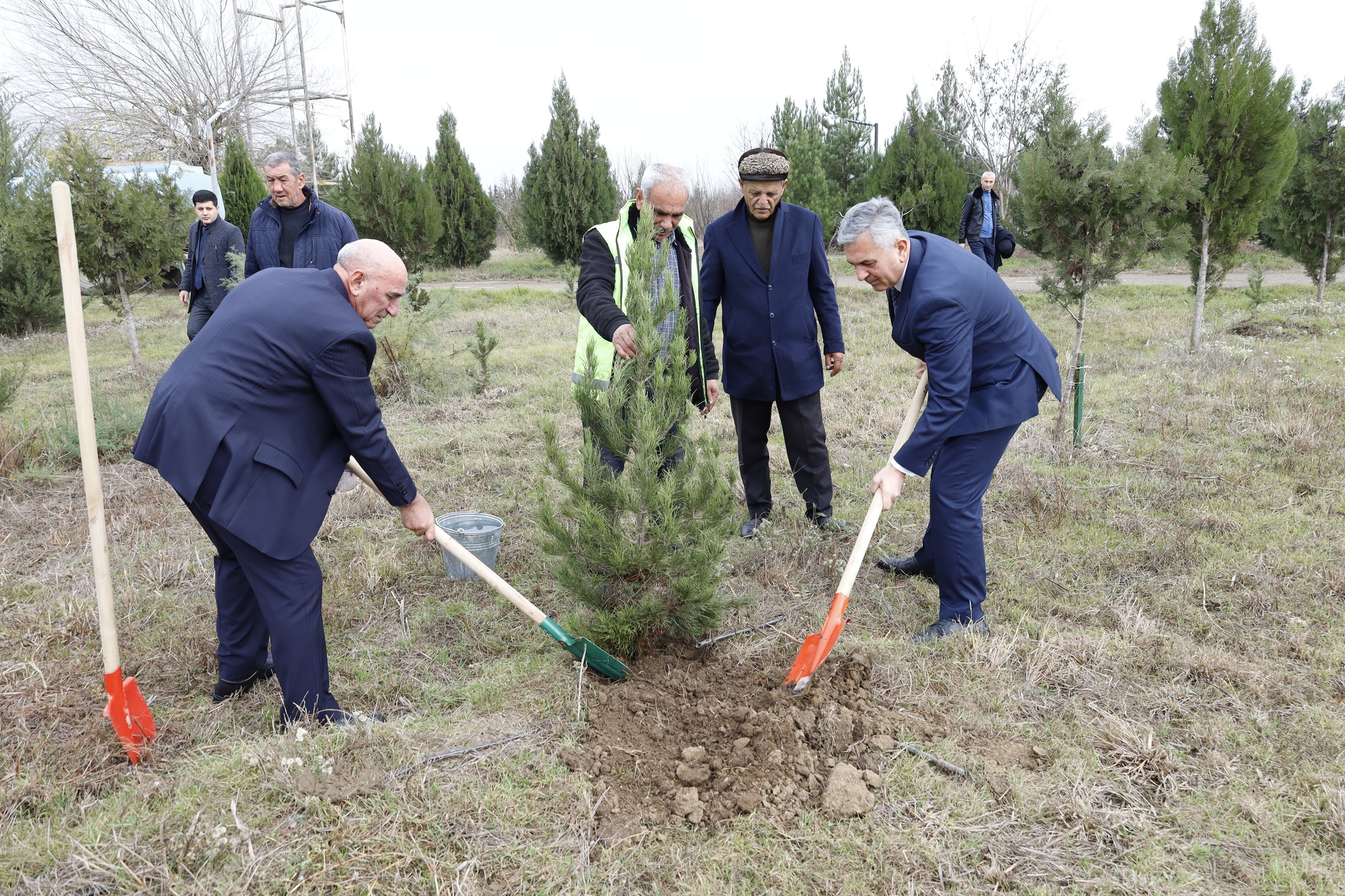 Biləsuvarda Ulu Öndərinanım gününə həsr olunan ağacəkmə aksiyası keçirilib