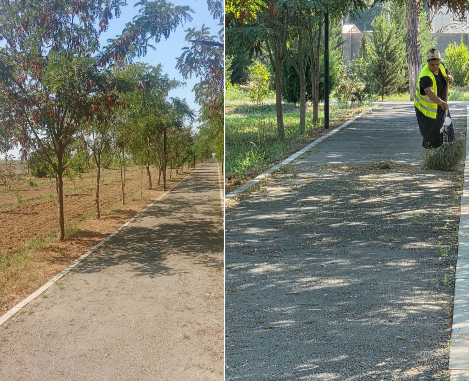 Təmizlik və abadlıq işlərinə start verildi